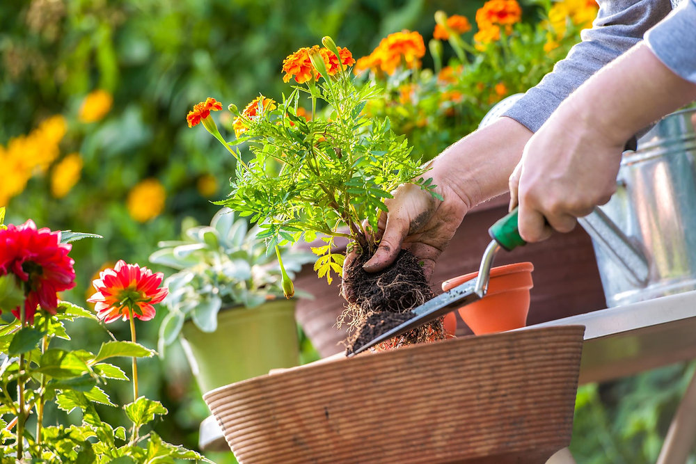 curso de jardinagem no Senac