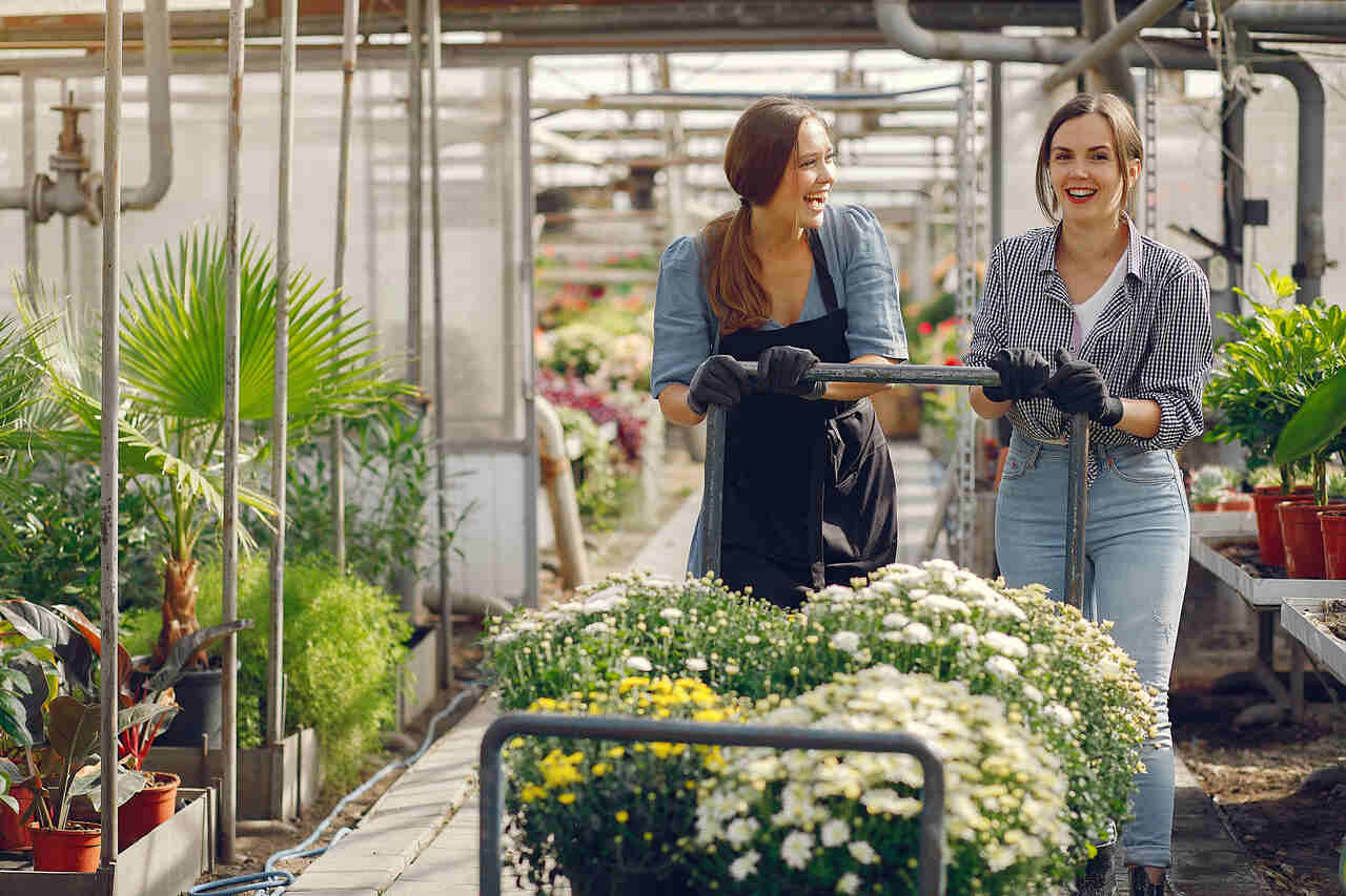 Paisagistas escolhem plantas para projeto 